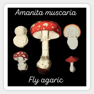 Fly Agaric - white on black Magnet